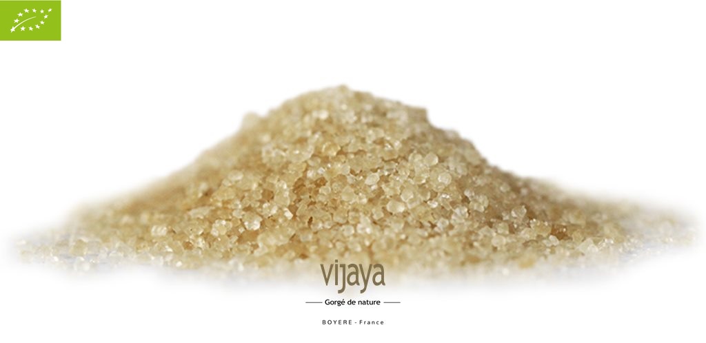 Sucre de Canne Roux - PARAGUAY - 25 kg - Bio*